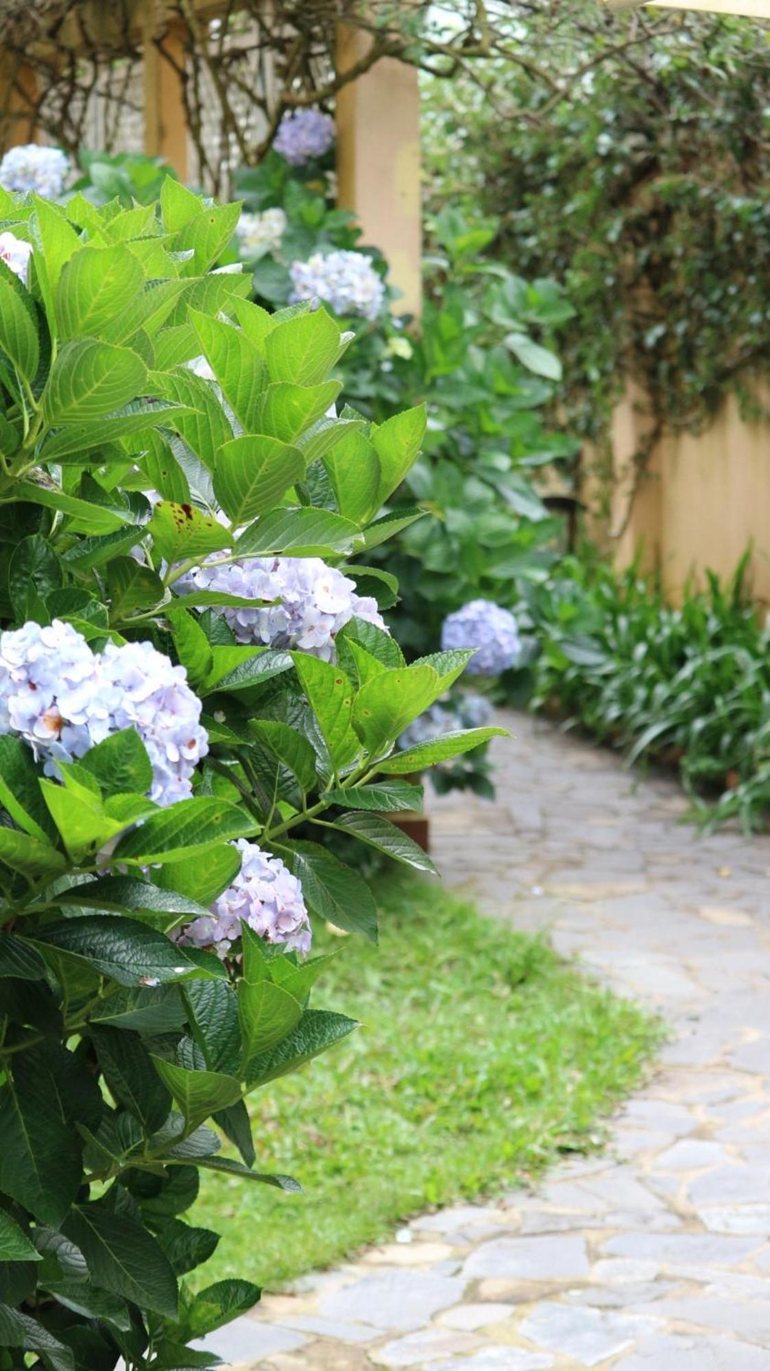 Bich Dao Boutique - Dalat Hotel Kültér fotó