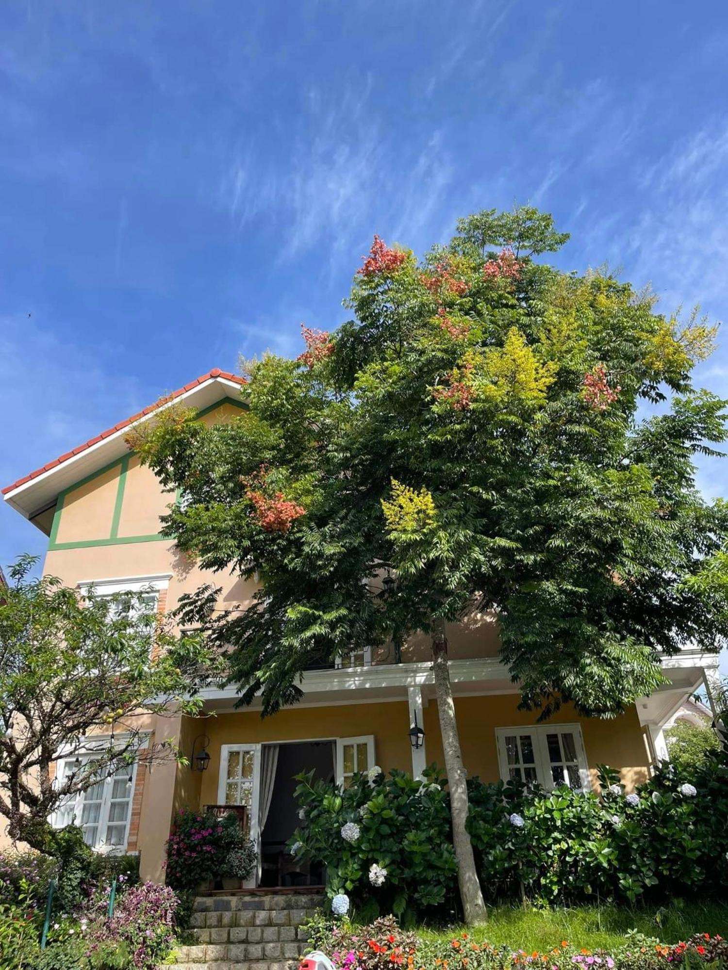 Bich Dao Boutique - Dalat Hotel Kültér fotó