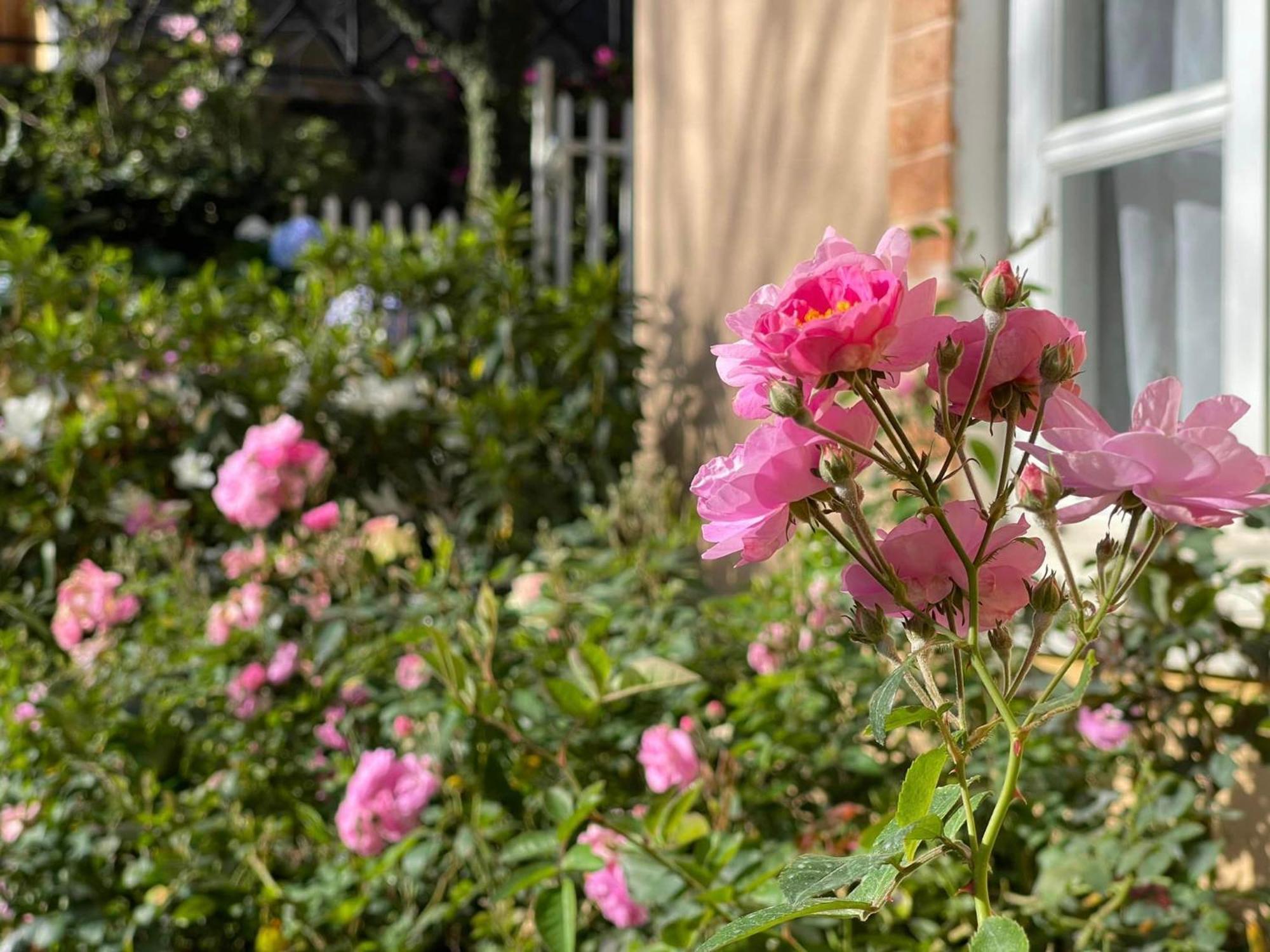 Bich Dao Boutique - Dalat Hotel Kültér fotó