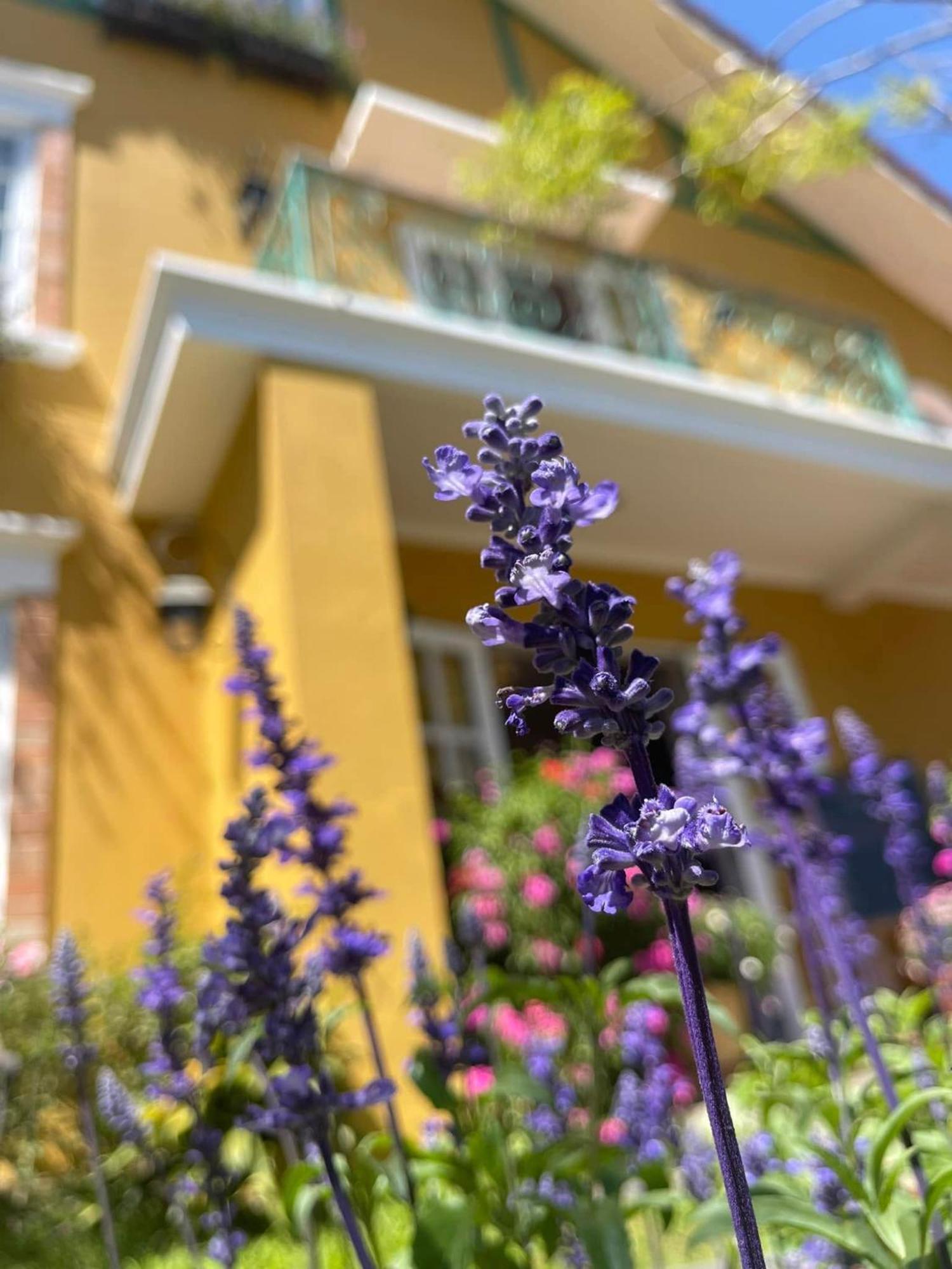 Bich Dao Boutique - Dalat Hotel Kültér fotó